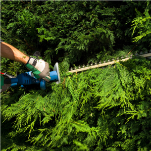 jardiniers paysagistes Bourges 18